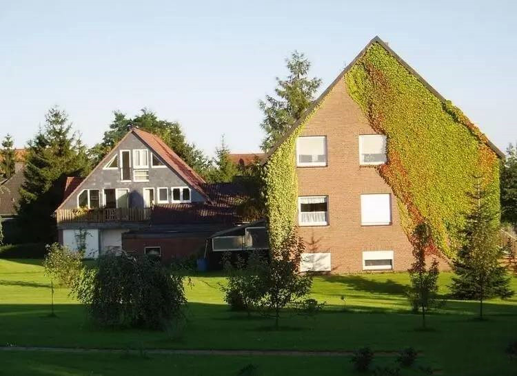 1554196835116616.jpg e54b8b0e3ba2422e9b38feb5b776590d_th.jpg