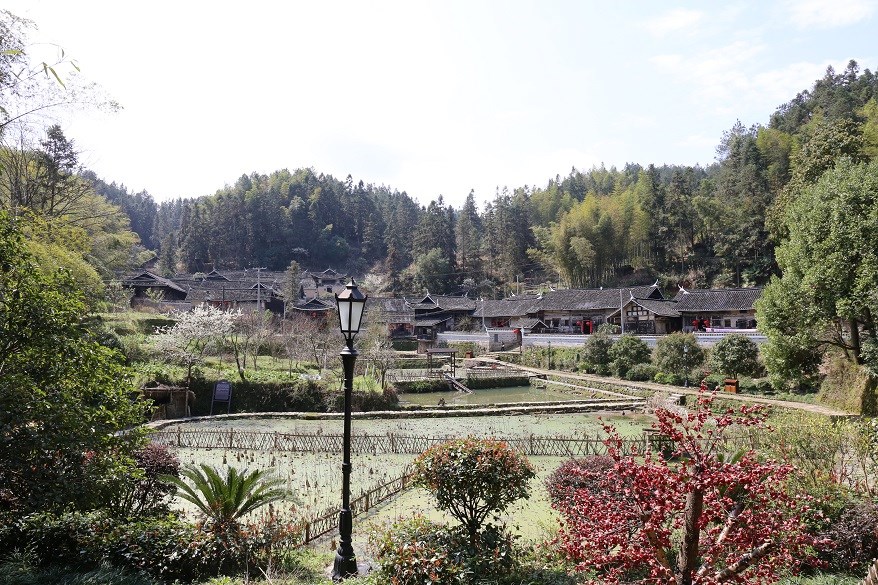 1587439343861883.jpg IMG_1445.JPG